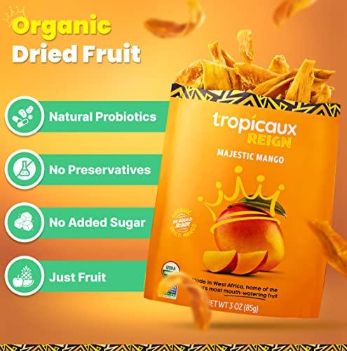 Tropicaux Reign Organic Dried Mango No Sugar Added, 3oz, Pack of 2 (6oz Total) - Delicious and Nutritious Non-GMO Dried Mangoes - No Preservatives or Chemicals - Perfect Snack for Kids & Adults by Tropicaux Reign