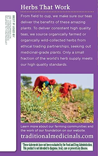 Traditional Medicinals Herb Tea, Smooth Move, 16 bag ( Value Bulk Multi-pack)