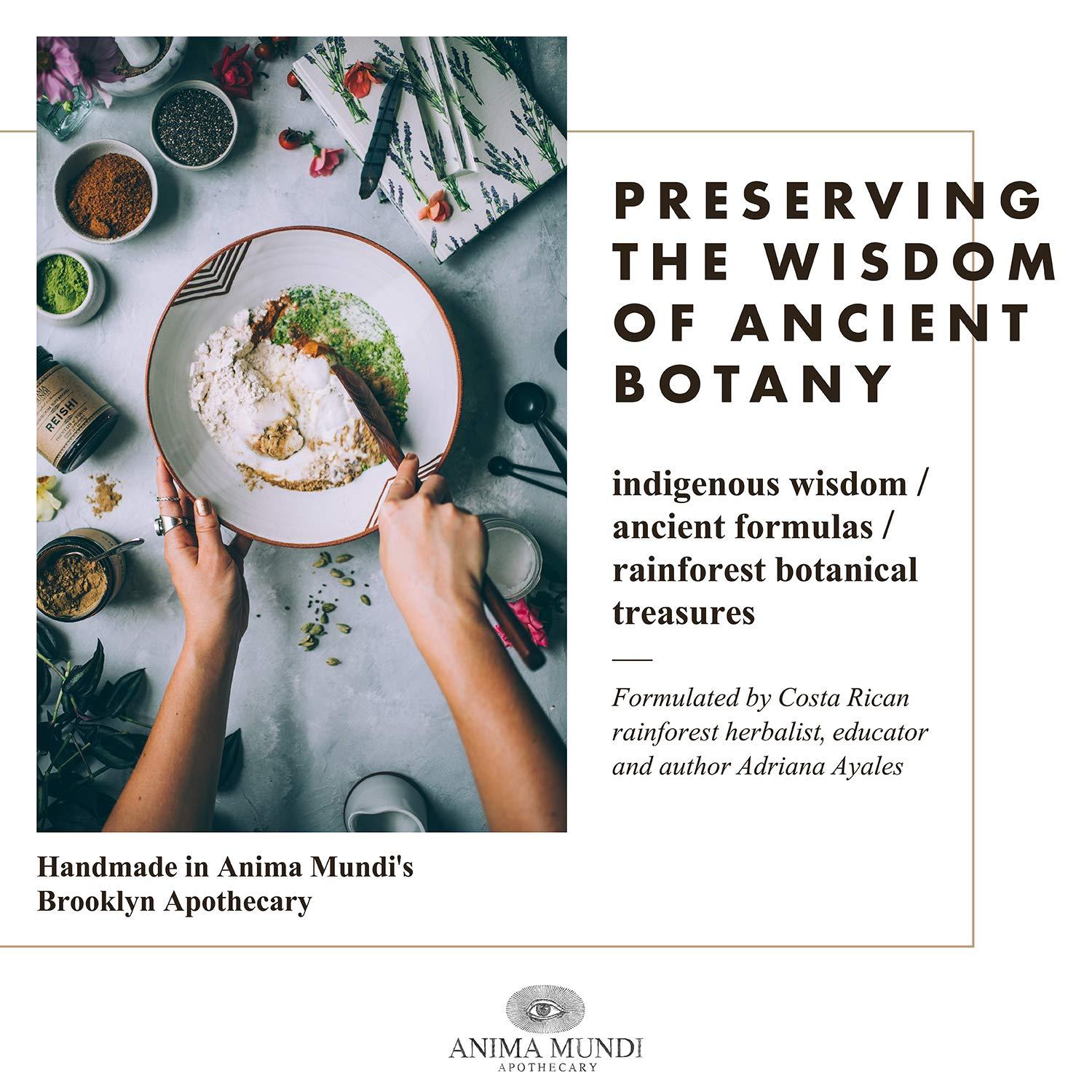 Anima Mundi Apothecary Anima Mundi Chaga Mushroom Powder - Organic Chaga Mushroom Powder - Immune System Support Supplement with Organic Chaga Extract Powder - Great for Tea, Coffee and More - Anima Mundi Supplements (5oz)