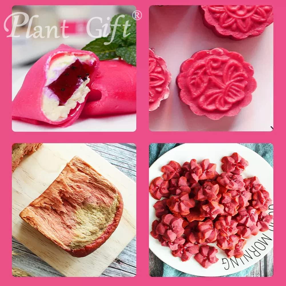 Plant Gift Plant Gift 100% Pure Beetroot Powder 100G/3.25oz Non-GMO Powder, No Filler, No additives, Natural Beetroot Flour,Best Flavor for Smoothie, Drinks, Coffee and Baking, Adds Flavor and Taste