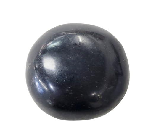 Geofossiles Palm Stone Basalt Tumbled Stone PR885 Healing Crystal Stone Mineral