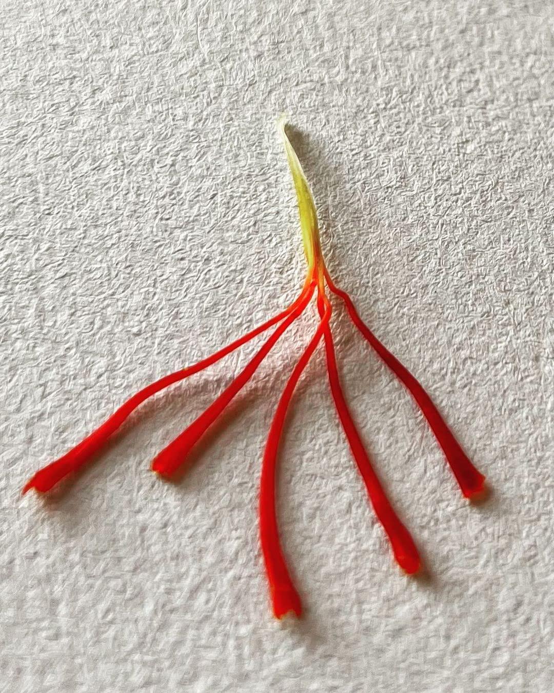 Generic Original Kashmiri Saffron 3g / kungumapoo, kesar (Grade A+++) kumkuma puvvu for Pregnant Women/Cooking/Skin/Pooja Pack of 3, (3 X 1g)