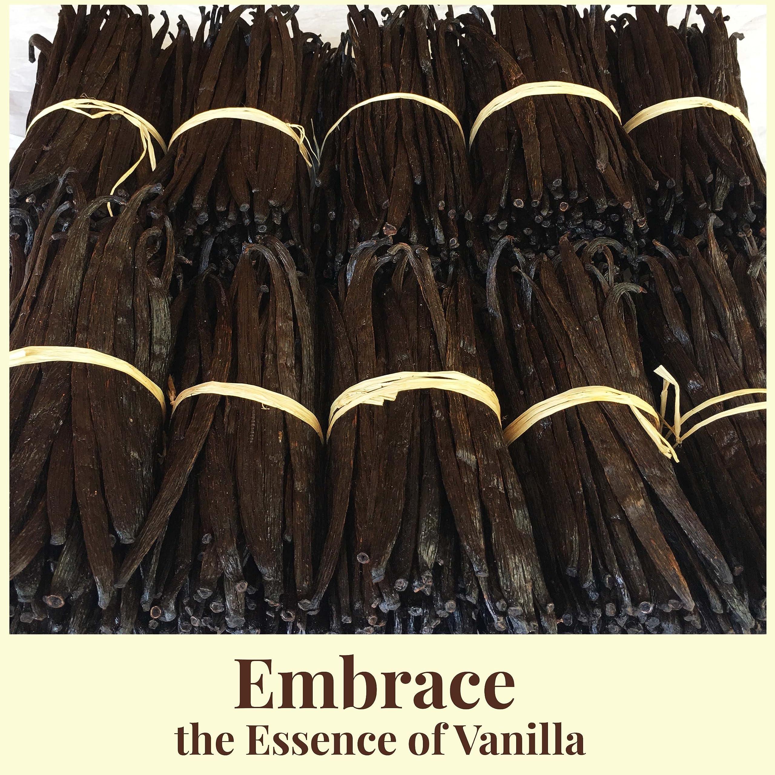 Akshit 3 Lb.Bulk Vanilla Beans Grade A + | 6-8 Inches, Whole Vanilla Bean Pods for Making Vanilla Extract & Baking| NON GMO. By NY Vanilla