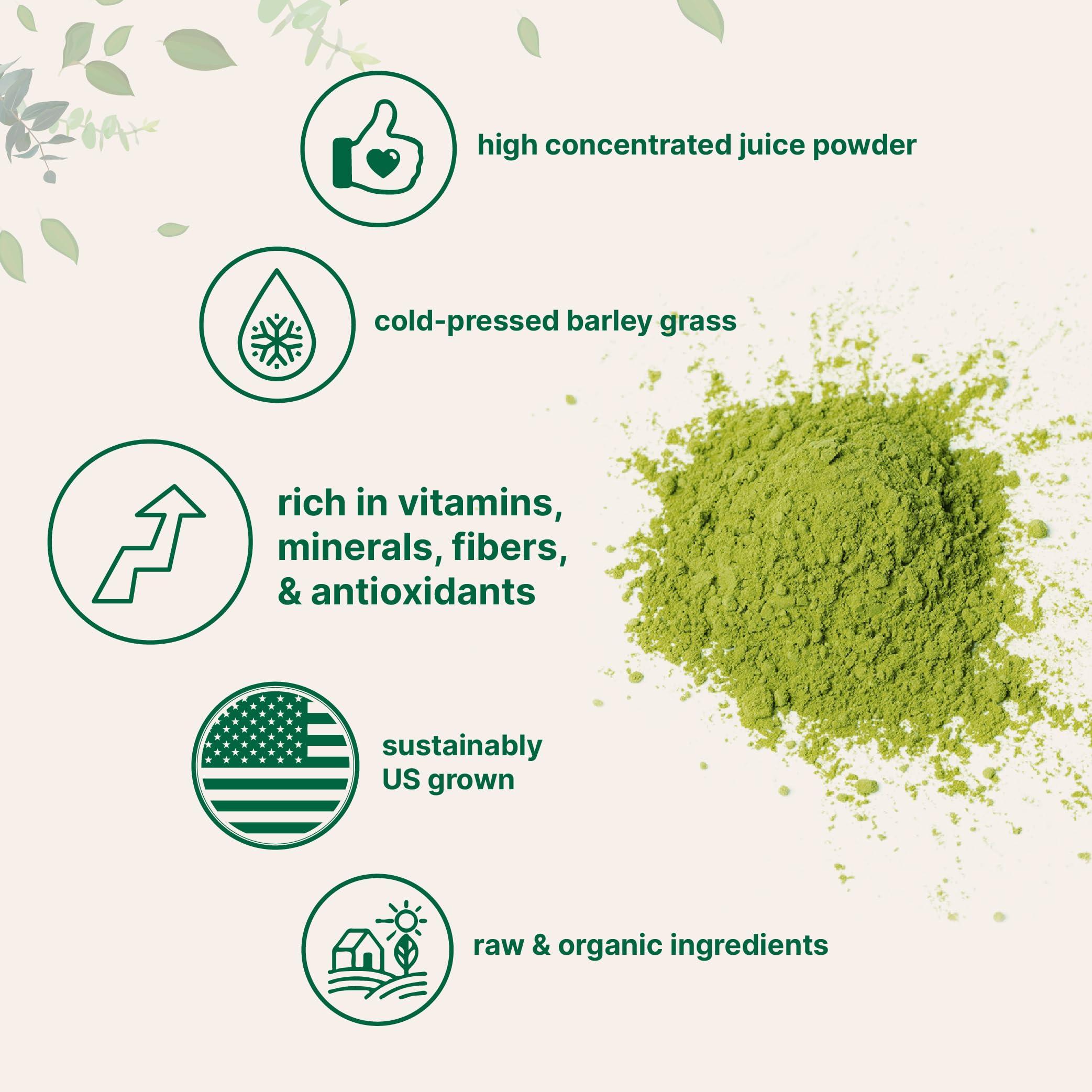 Micro Ingredients Micro Ingredients Organic Barley Grass Juice Powder, 10 Ounce, Cold Pressed, US Grown, Rich in Immune Vitamin, Fibers, Minerals, Antioxidants and Protein, Support Immune System and Digestion, Vegan