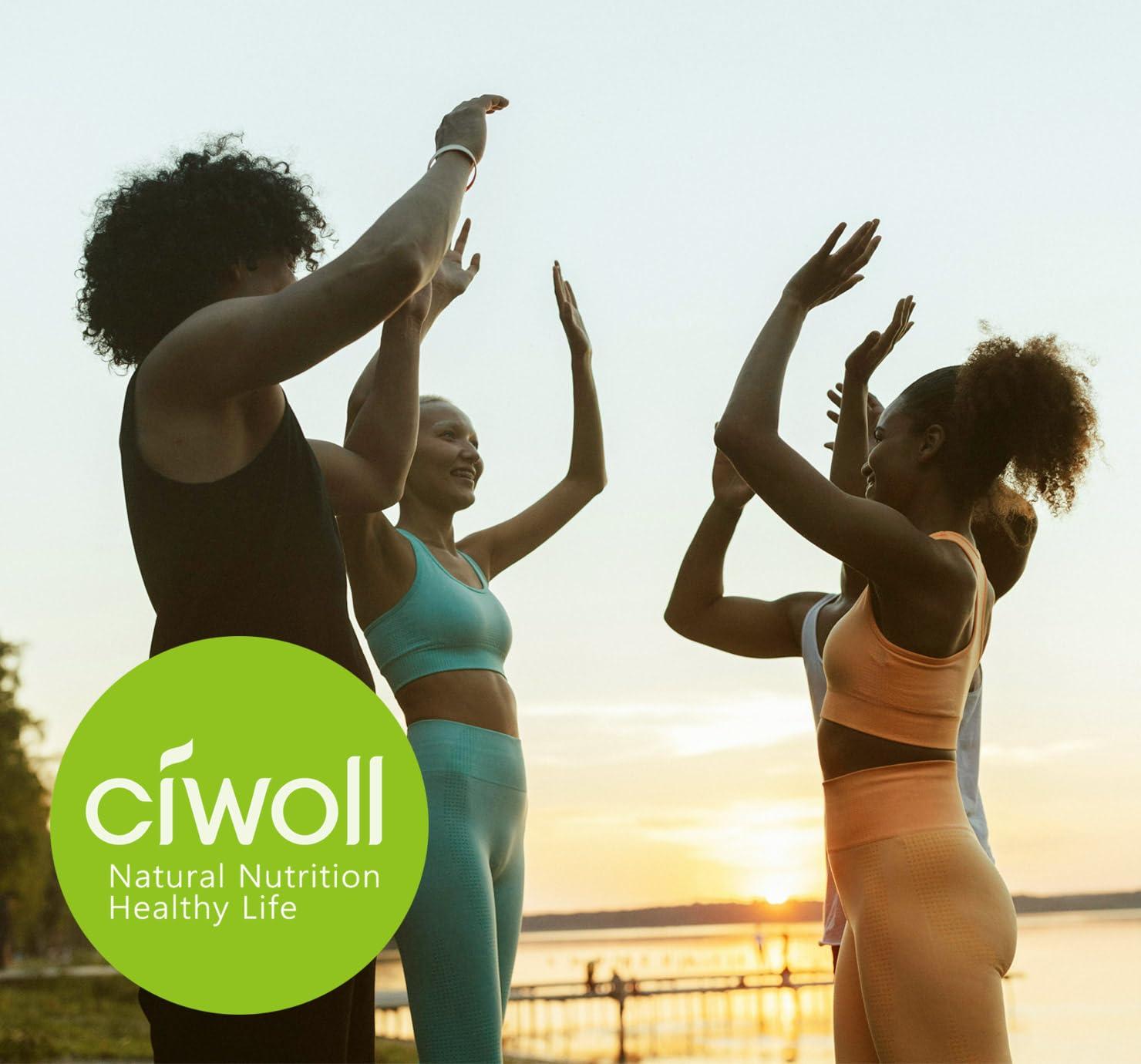 ciwoll ciwoll Liu-Wei Di-Huang Wan Herbal Supplement 960 Pills (120 Servings) - Six Flavor Rehmannia Teapills - Overall Health Support | 480 Pills 2 Boxes