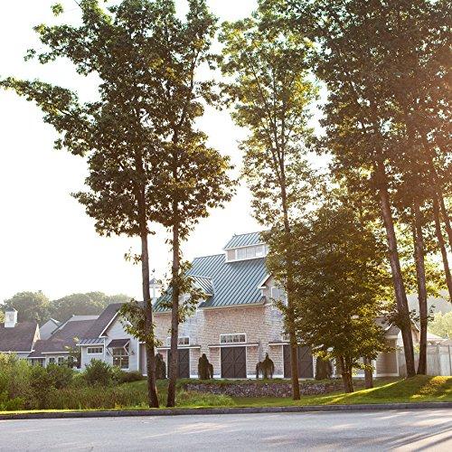 Stonewall Kitchen Stonewall Kitchen Apple Cinnamon Syrup, 8.5 Ounces