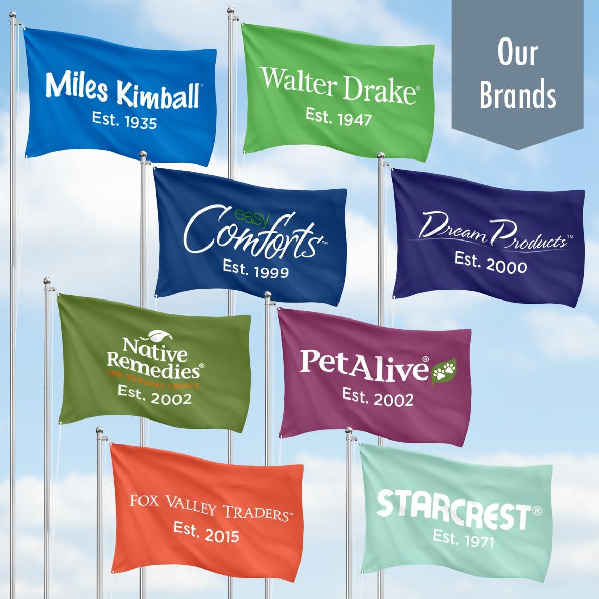 Dream Products Dream Products Non-Run Compression Stockings, Knee High, Regular (fits 5\'2\"-5\'6\"/100-150 lbs), Black, 1 Pair