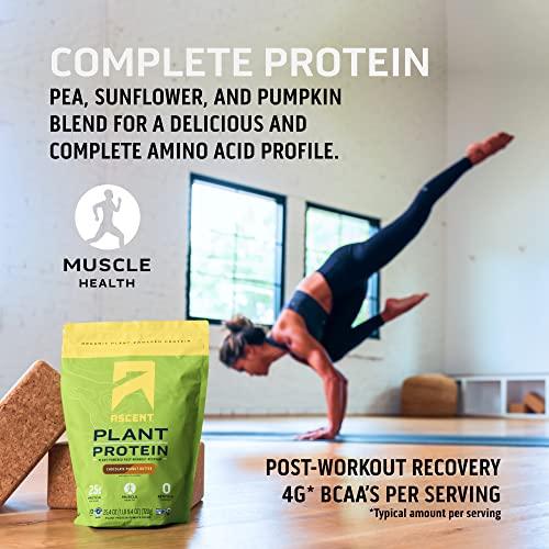 Ascent Ascent Plant Based Protein Powder - Non Dairy Vegan Protein, Zero Artificial Ingredients, Soy & Gluten Free, No Added Sugar, 4g BCAA, 2g Leucine - Chocolate, 18 Servings