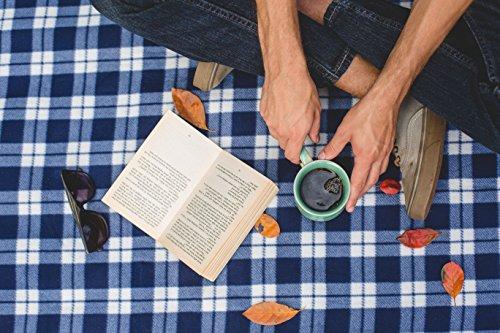 Equal Exchange Equal Exchange Organic Whole Bean Coffee, Love Buzz, 12 Ounce (Pack of 3)