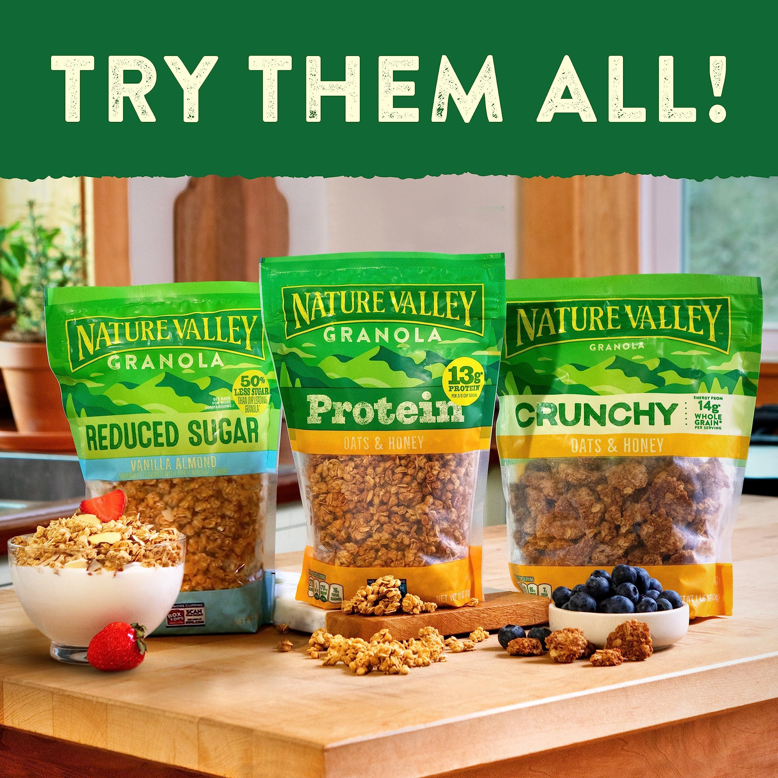 Nature Valley Nature Valley Protein Granola, Oats and Honey, Family Size, Resealable Bag, 17 OZ