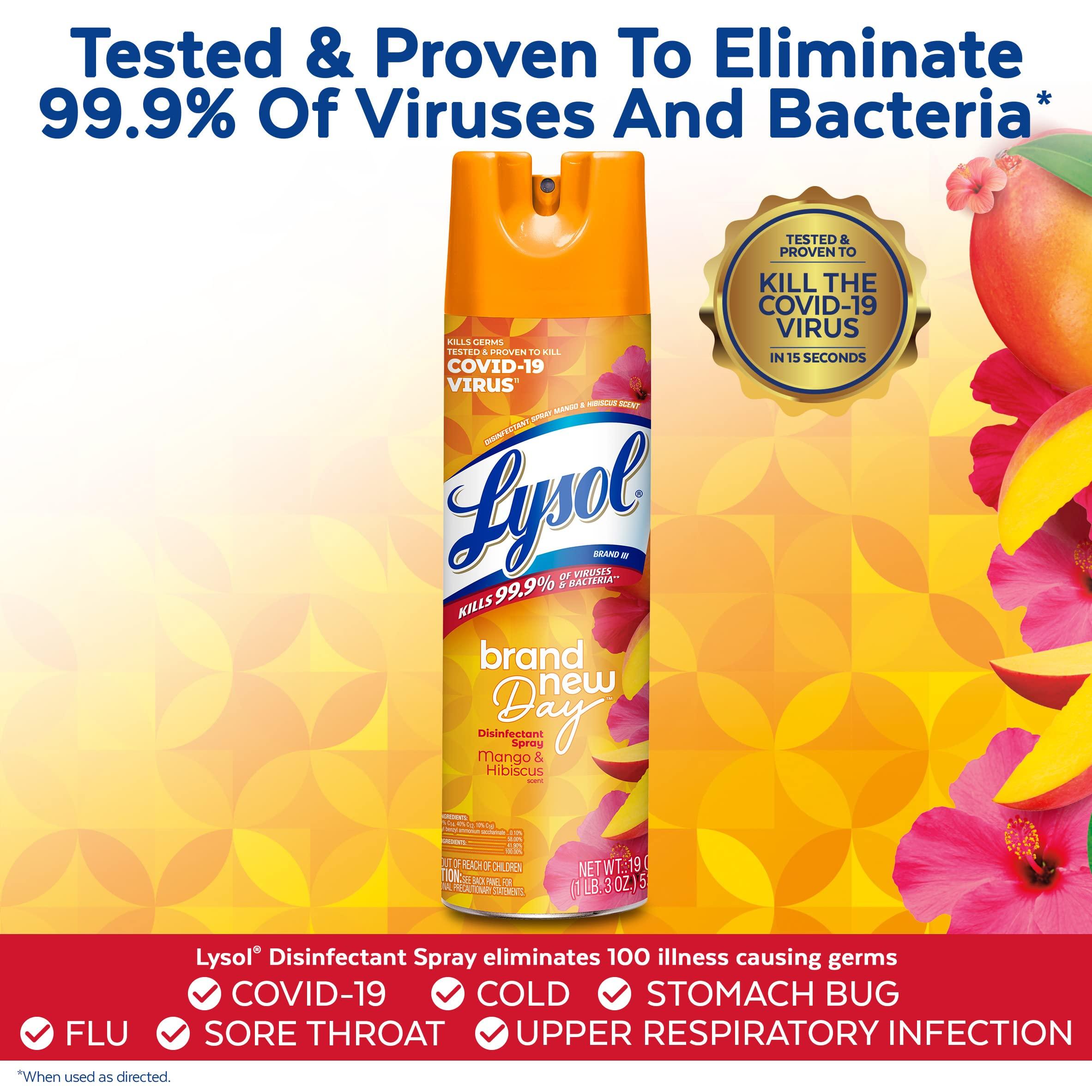 Lysol Lysol Disinfectant Spray, Sanitizing and Antibacterial Spray, For Disinfecting and Deodorizing, Mango & Hibiscus Scent, 19 Fl Oz, (Packaging May Vary)