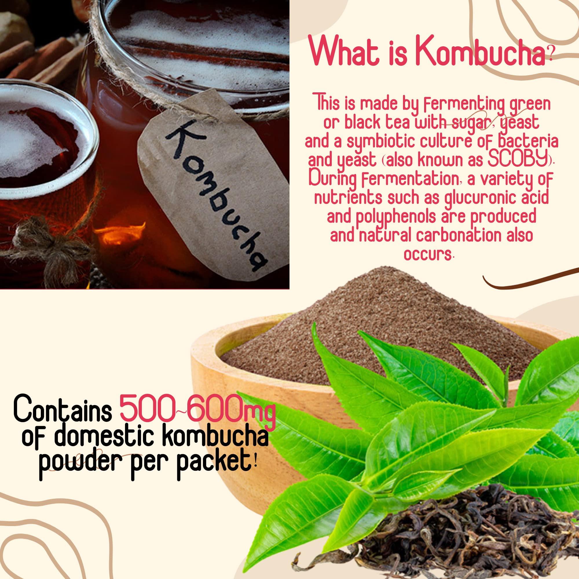 MENBLY Kombucha Powder Tea Pack Korean Healthy Beverage Juice - Korean Tea Drink Zero Sugar, Sparkling Fermented, Probiotics & Prebiotics 10 sticks (Plum)