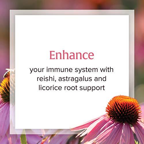 Natural Factors Natural Factors, Anti-V Liquid Formula, Echinacea Supplement for Immune and Wellness Support, Organic, Non-GMO, 3.4 oz (100 servings)