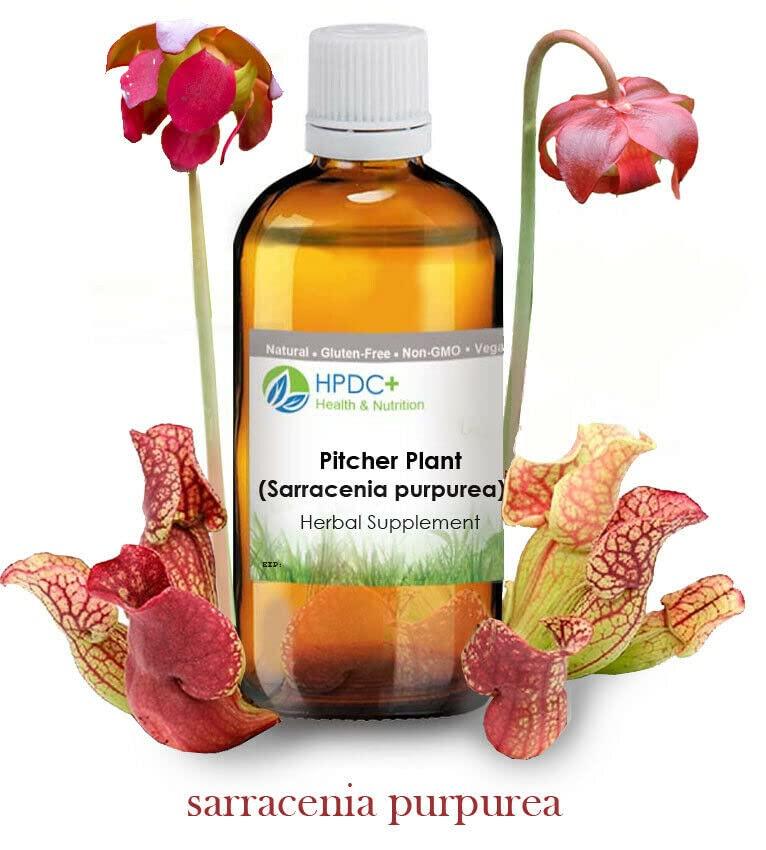 HPDC+ Health & Nutrition HPDC+ Health & Nutrition Pitcher S. Pox Plant/Sarracenia purpurea Tincture Tincture Extract 1 fl oz / 30ml (1.69 fl oz / 50ml)