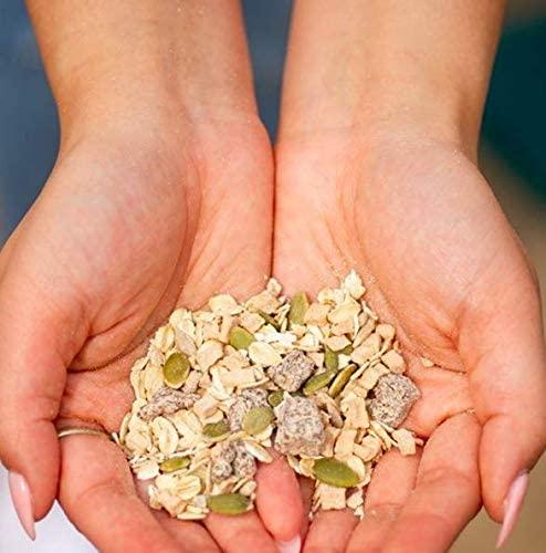 ZEGO ZEGO Foods Organic, Superfood Oatmeal & Muesli, Certified Gluten Free (Cinnamon Twist) 13oz