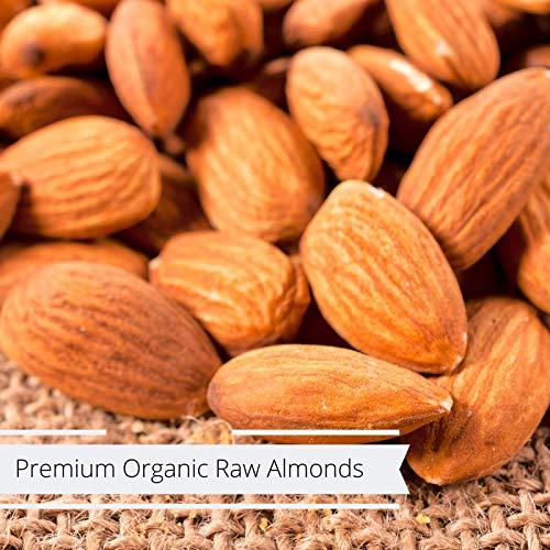 It's Delish Gourmet Whole Raw Almonds by Its Delish Bulk (1 lb)