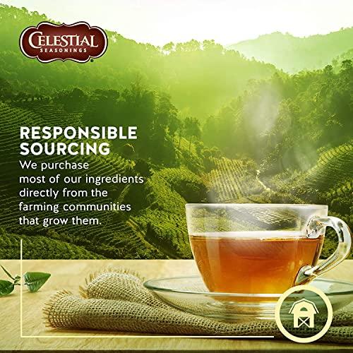 Celestial Seasonings Celestial Seasonings 27891-3pack Celestial Seasonings Sleepytime Extra Herb Tea - 3x20 bag