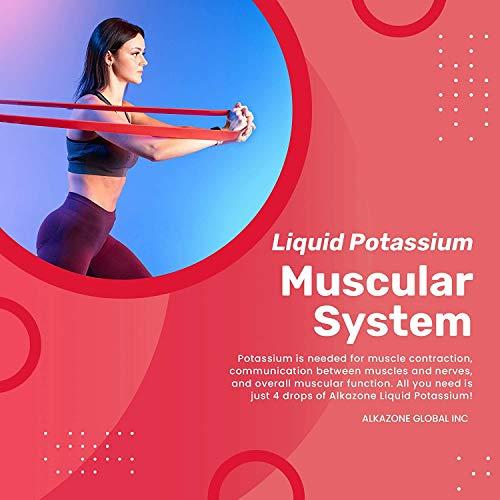 Alkazone ALKAZONE Liquid Potassium+ | Liquid Supplements Have Faster Absorption Rate | Concentrated | Easiest Way to take Potassium | Tasteless Flavorless | 1.25 Oz, Clear, Pack of 1