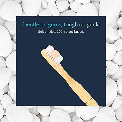 Better & Better Better & Better Natural Bamboo Toothbrush and Extra Replaceable Brush Head | Soft Bristles | 100% Plant-Based | Eco-Friendly, Zero Plastic | Adult Size, Blue Toothbrush