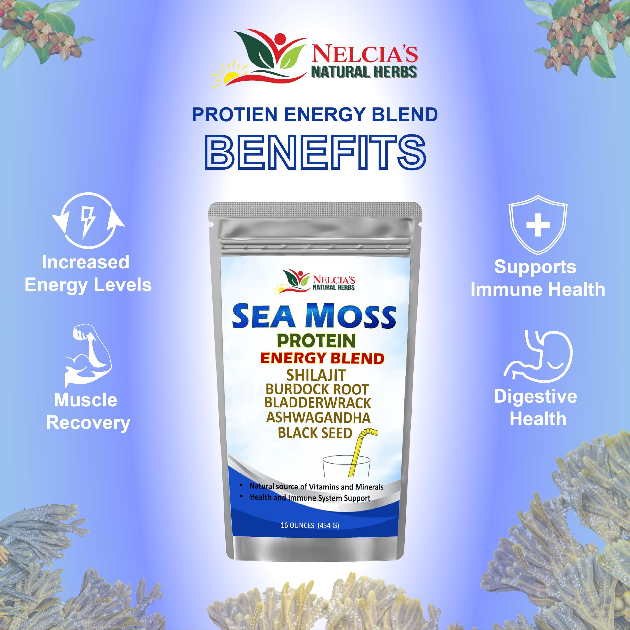 Nelcia'S Natural Herbs Nelcia'S Natural Herbs Sea Moss Ashwagandha Protein Powder -Natural Irish Sea Moss, Bladderwrack and Burdock Root, Black Seed and Shilajit Powder (16oz)