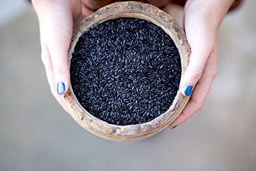 Lotus Foods Lotus Foods Bulk Organic Forbidden Rice - Black Rice Organic, Purple Rice, Black Rice Bulk, Gluten Free Heirloom Rice, Whole Grain, Non GMO, Vegan - 11 lb Bag