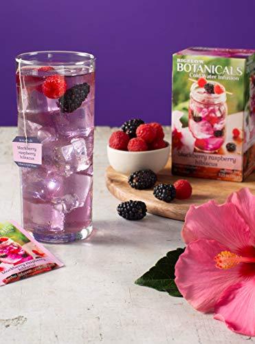 Bigelow Tea Bigelow Botanicals Cold Water Infusion Blackberry Raspberry Hibiscus Tea Bags 18 Count Box (Pack of 1), Herbal Infusion, Caffeine Free, 18 Tea Bags Total