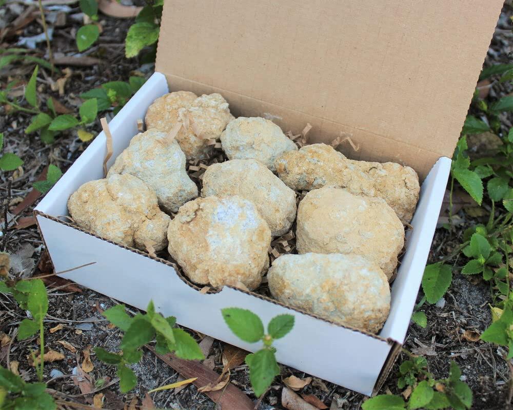 Generic [Waller PAA] Break Your Own Geodes Gift Box (6-8 pcs) Large Unopened Moroccan Crystals