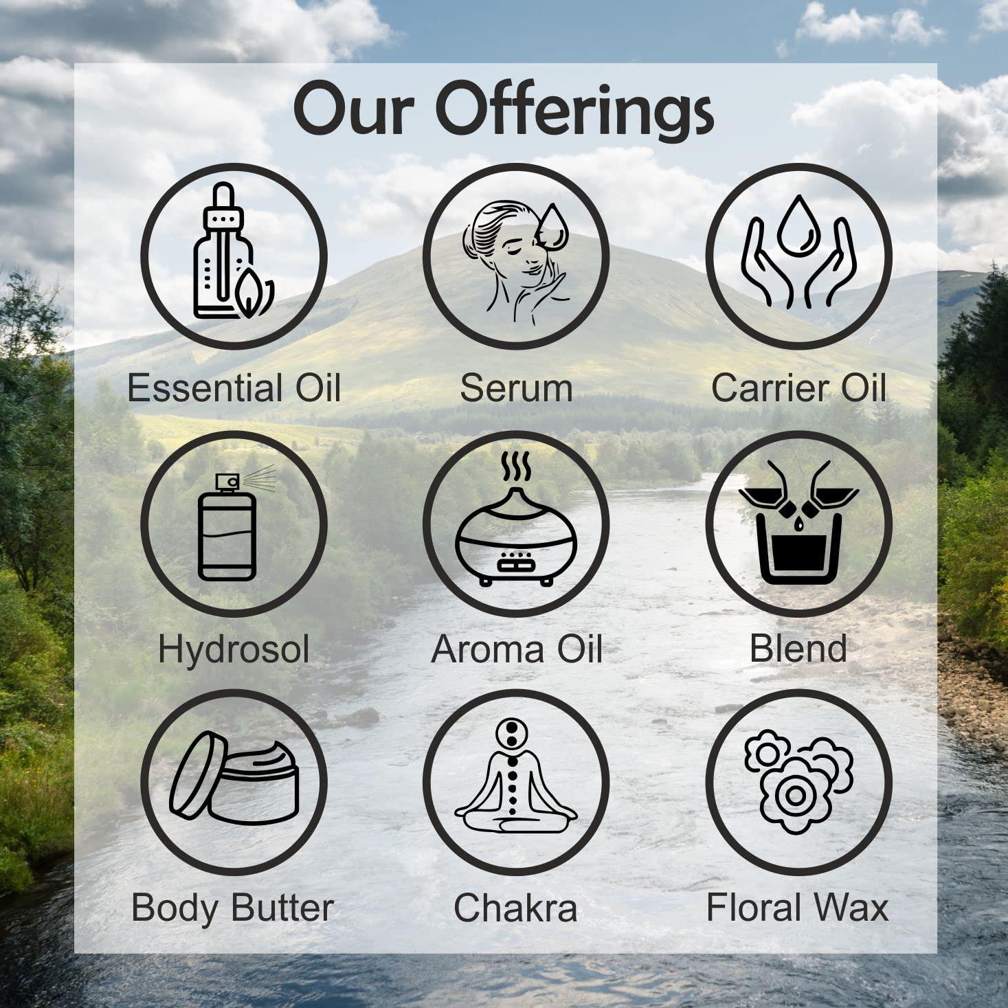 DEVPRAYAG DEVPRAYAG Pure Strawberry Seed Oil (Fragaria ananassa) (Pack of Two) 100mlx2 (6.76 oz)