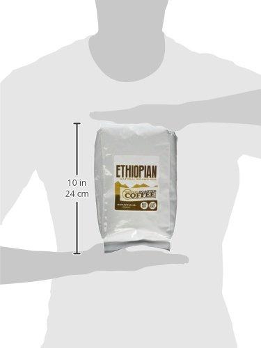 Fresh Roasted Coffee Fresh Roasted Coffee, Organic Ethiopian Sidamo Guji, 2 lb (32 oz), Light Roast, Kosher, Whole Bean
