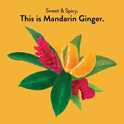Choice Organics Choice Organics - Organic Mandarin Ginger Tea (6 Pack) - Organic Herbal Tea - 96 Tea Bags