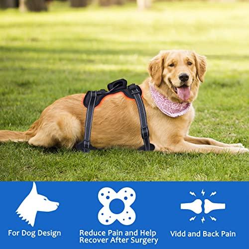 Dialudon Dialudon Dog Back Brace with Red Infrared Light Therapy for Muscle Joint Pain Relief, Red Light Therapy Devices for Dogs Home Light Therapy Adjustable Wrap for Arthritis, Back Pain, Surgical Recovery