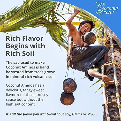 COCONUT SECRET Coconut Secret Coconut Aminos - 8 fl oz - Low Sodium Soy Sauce Alternative, Low-Glycemic - Organic, Vegan, Non-GMO, Gluten-Free, Kosher - Keto, Paleo, Whole 30 - 48 Servings
