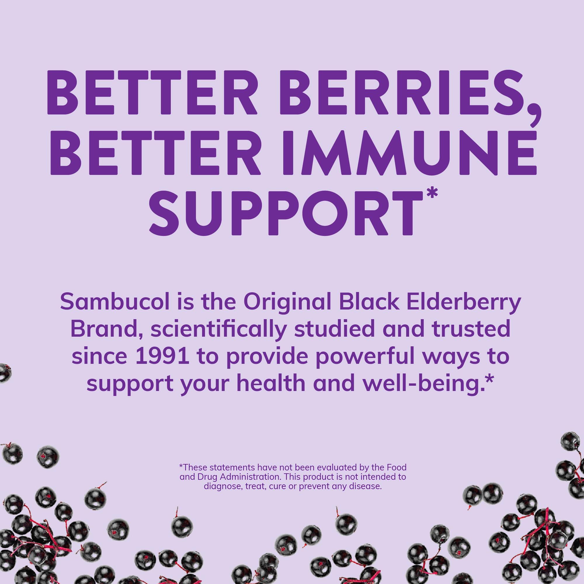 Sambucol Sambucol Black Elderberry Tablets with Vitamin C & Zinc - Immune Support Supplement, Black Elderberry with Zinc and Vitamin C Effervescent Tablets, High Antioxidants, Drink Fizzies - 15 Tablets