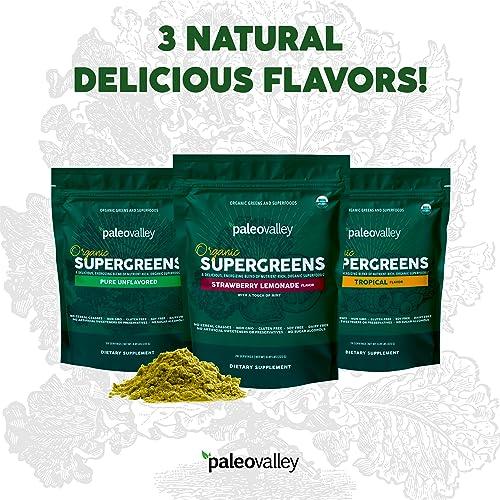 Paleovalley Paleovalley Organic Supergreens Powder - 23 Superfoods with Prebiotic Fiber for Energy and Immunity Support - No Cereal Grasses for Maximum Absorption - Pure Unflavored, 30 Servings