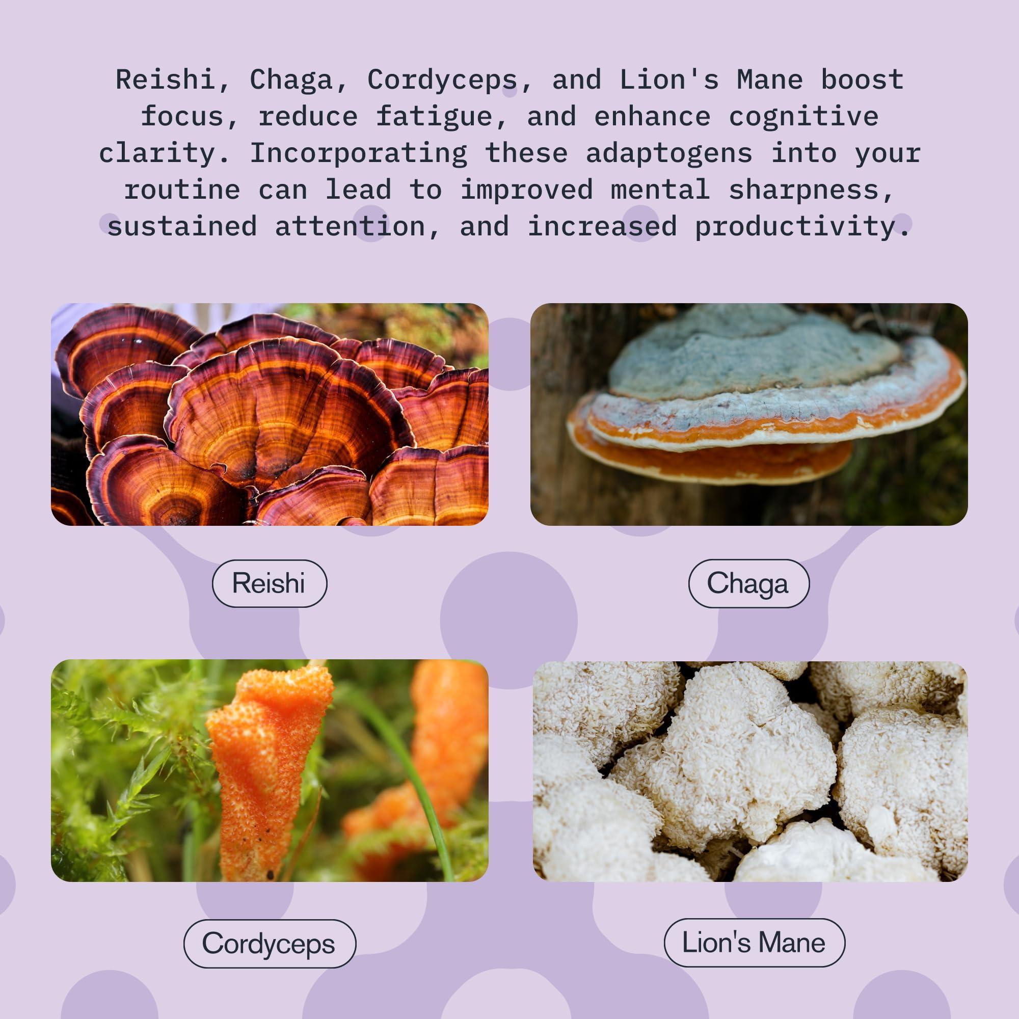 OVERACHIEVE OVERACHIEVE Mushroom Supplement Drink, Fast-Acting Vitality Blend, Cordyceps, Reishi, Chaga, Lions Mane,Ashwaganda, for Adults, Chai Spice Flavor 2 fl oz (3 Pack)