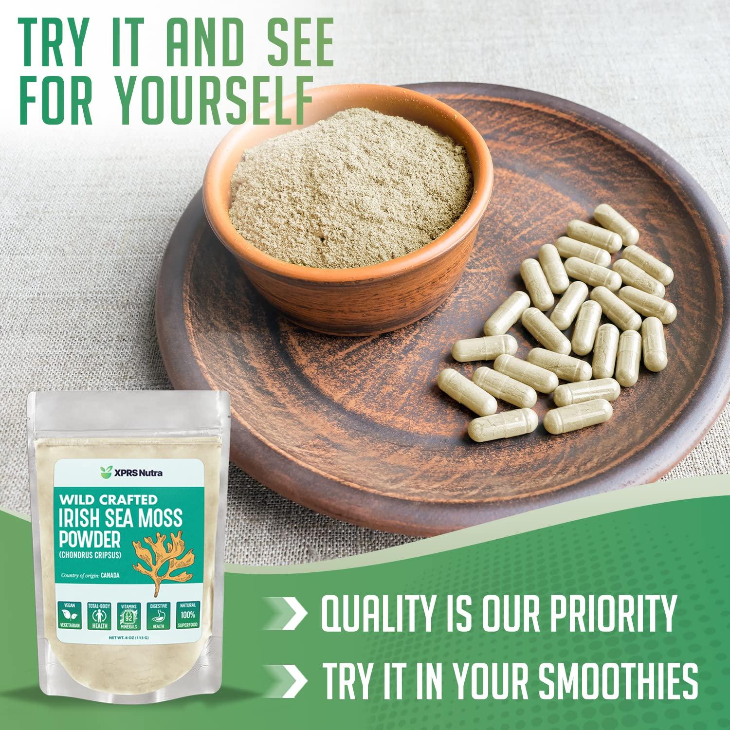 XPRS Nutra XPRS Nutra Irish Sea Moss Powder (Chondracanthus Chamissoi) - Premium Wildcrafted Seamoss Powder for Glowing Skin - Total Body Health Sea Moss Drink Powder - Vegan Friendly Irish Moss Powder (4 oz)