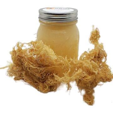 Best Life Irish Sea Moss System Authentic Wildcrafted Irish Sea Moss Gel