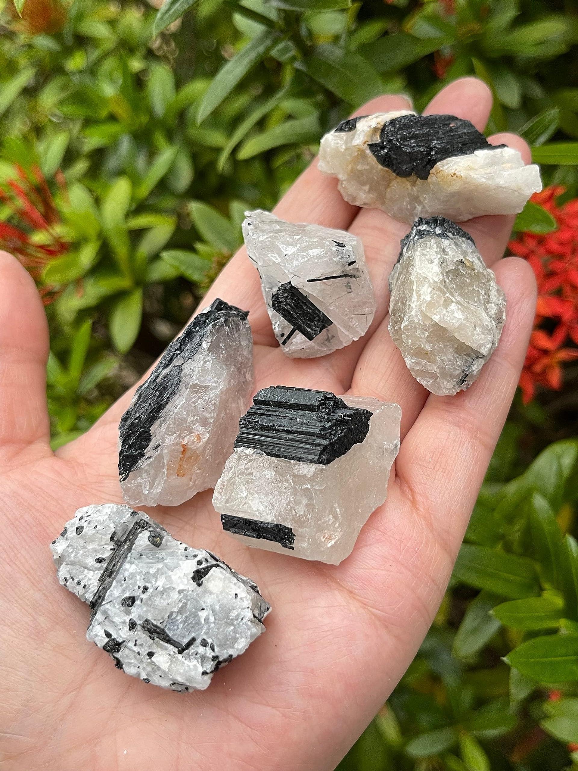 GAF TREASURES WHOLESALE Raw Black Tourmaline with Quartz Crystals, Natural Black Tourmaline with Quartz Stone, Rough Black Tourmaline Quartz, Healing Crystals (Black Tourmaline with Quartz, 0.5 Pound)