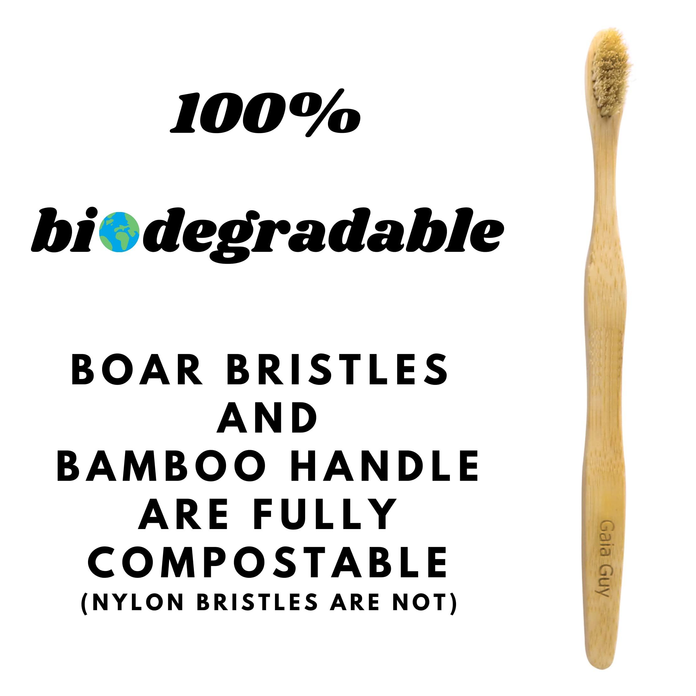 Gaia Guy Gaia Guy Natural Bristle Bamboo Toothbrush with Boar Bristles - Totally Biodegradable and Compostable - No Nylon Toothbrushes - Zero Waste 12-Pack