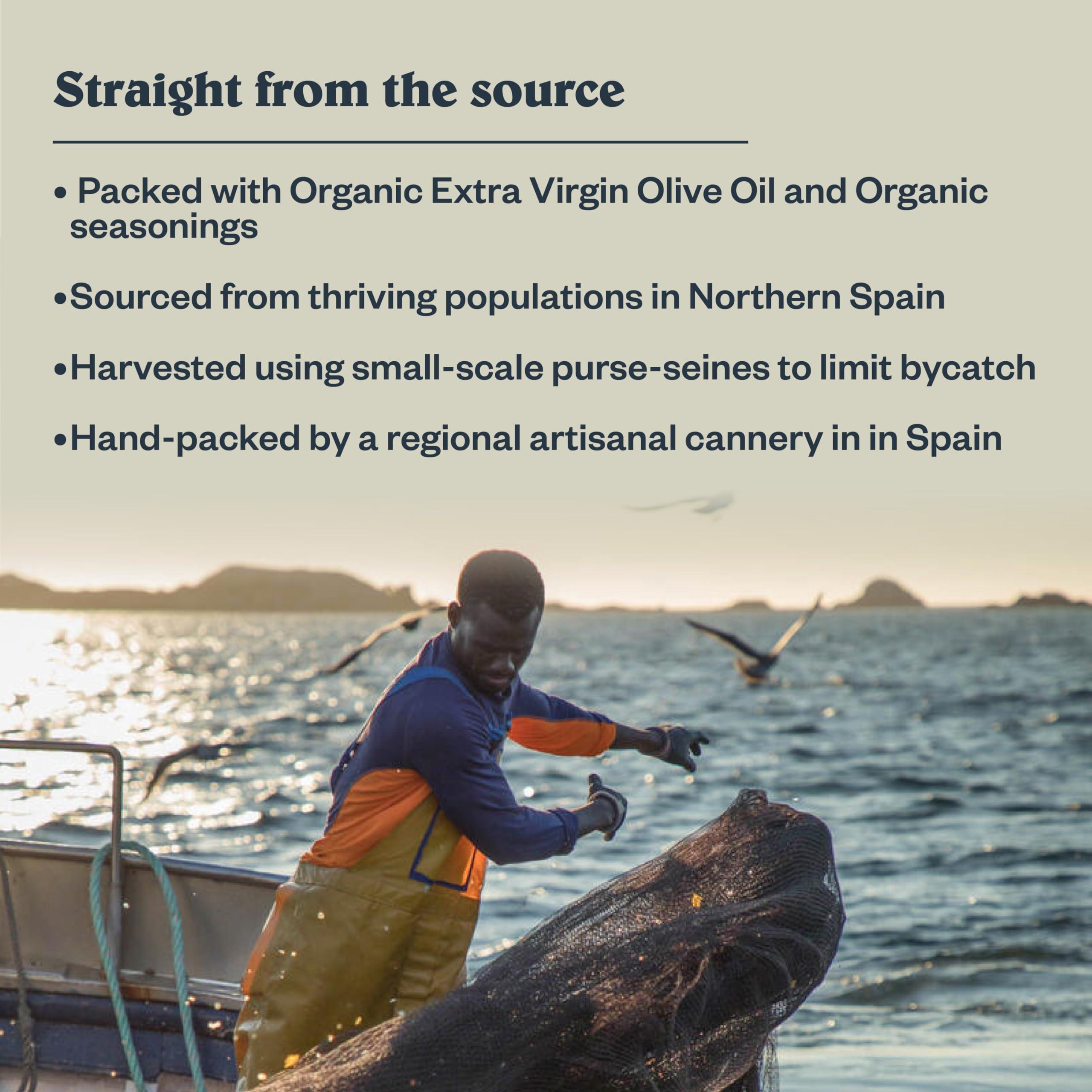 Patagonia Provisions Patagonia Provisions - Wild Sardines in Extra Virgin Olive Oil | Responsibly sourced in Spain | 15g Protein & Gluten Free