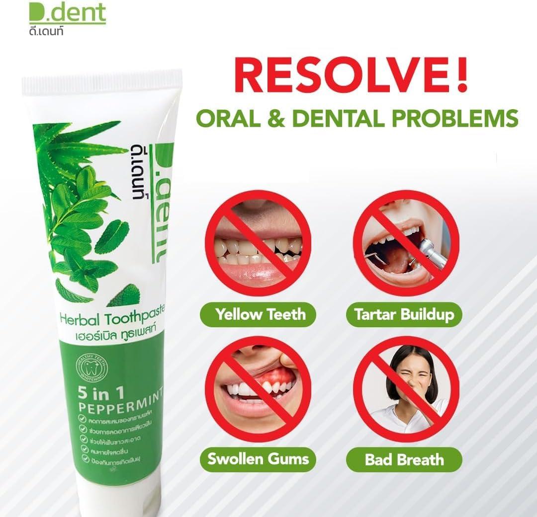 D.Dent D.Dent 5-in-1 Herbal Toothpaste Peppermint with 9 Herbal Ingredients