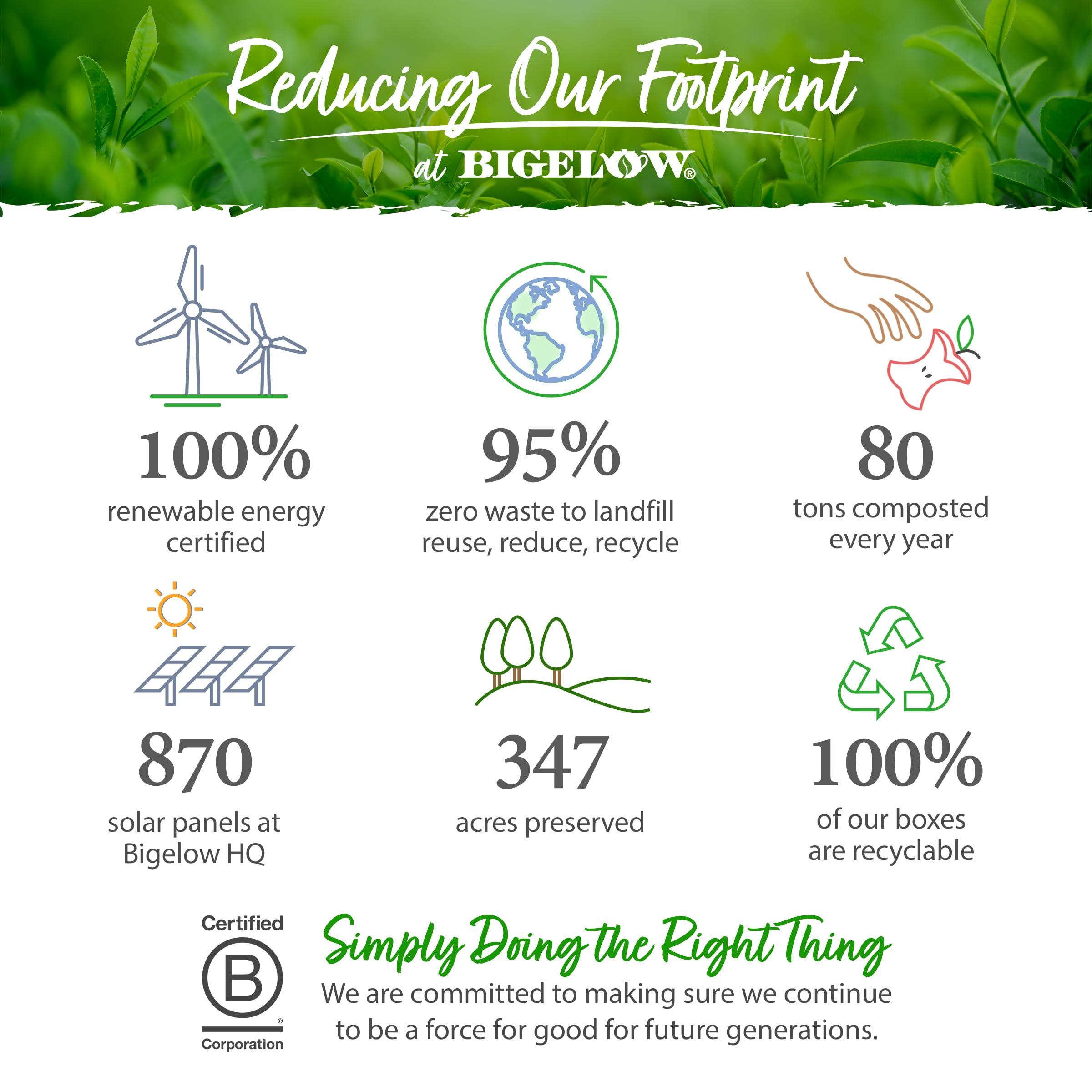 Bigelow Tea Bigelow Tea Seasonal Tea Collection, Caffeine Tea Variety Pack Gift Sampler, Holiday Tea Gift Set, 64 Count Box (Pack of 1), 64 Tea Bags Total