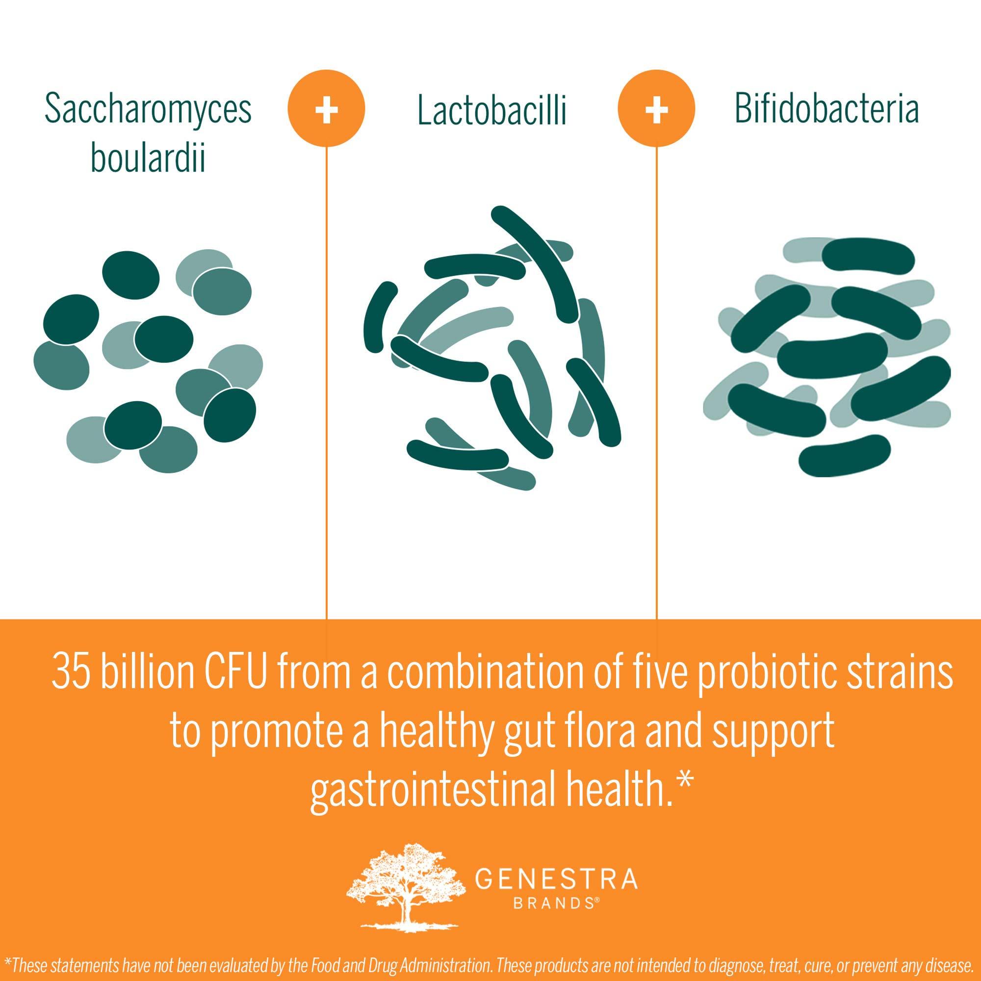 Genestra Brands Genestra Brands - HMF Travel - Shelf Stable Probiotics to Support Gastrointestinal Health When Travelling - 30 Capsules