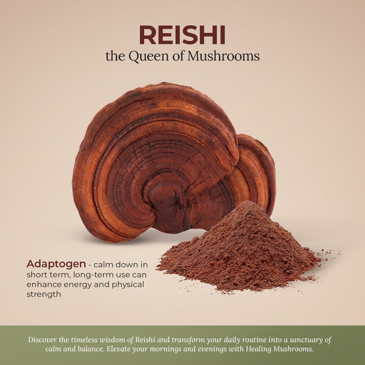 Healing Mushrooms Healing Mushrooms Reishi Extract Powder, Organic Mushroom Supplement (100 Gram)