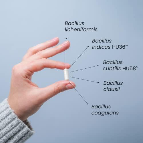 Microbiome Labs Microbiome Labs MegaSporeBiotic (60 Capsules) + MegaPre (5.5 oz Powder) Probiotic Prebiotic Bundle - Spore-Based Probiotic with Prebiotic Fiber Powder