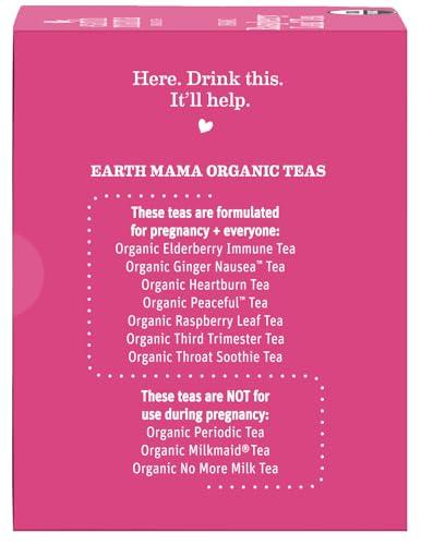 Earth Mama Earth Mama Organic Raspberry Leaf Tea Bags | Labor Tonic & Menstrual Support Herbal Tea, Red Raspberry Leaf Tea for Pregnancy & Postpartum Care Recovery, Caffeine Free Tea, Non GMO, (16-Teabags, 2-Pk)