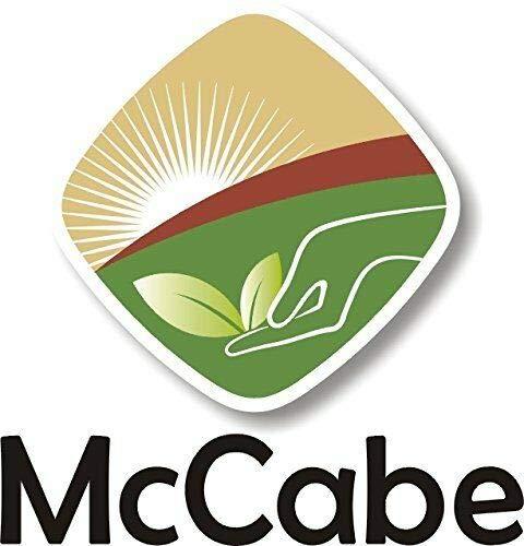 McCabe McCabe Organic Purple Barley - Purple Barley Organic | Rich with Fiber & Minerals | USDA and CCOF Certified | Product of USA | 2Lbs
