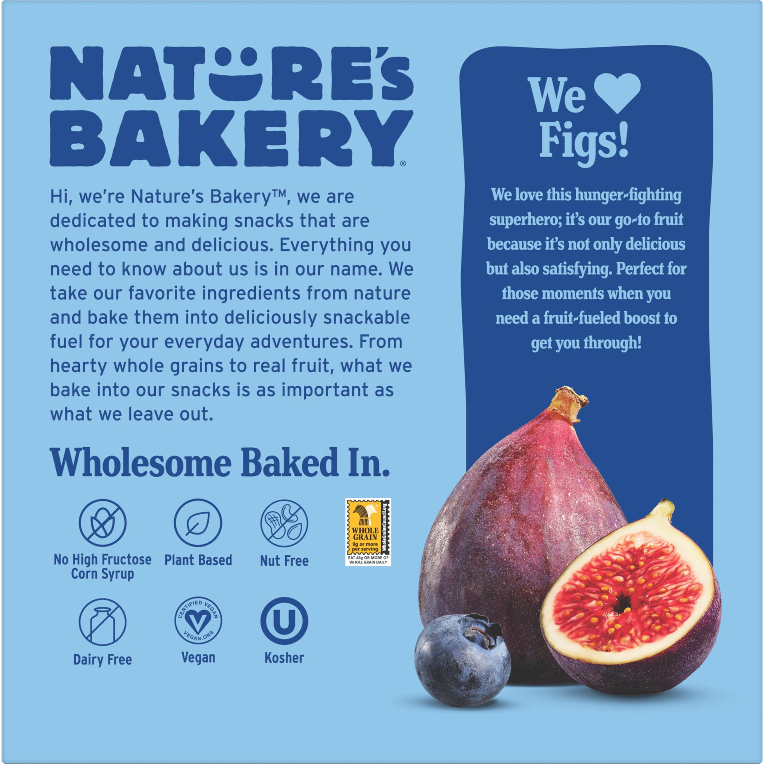 Nature\'s Bakery Nature\'s Bakery Fig Bar Minis, Blueberry, Whole Grain, Vegan Friendly, Kosher, Non-GMO, 10 Ounce (Pack of 6)