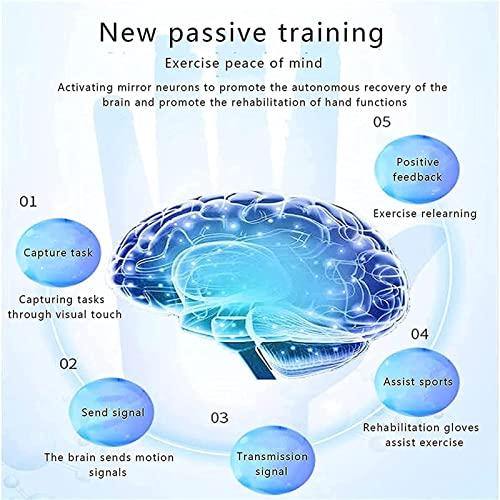 ZZBB ZZBB Rehabilitation Robot Gloves Hand Stroke Hemiplegia Finger Rehabilitation Brace, Hand Training Finger Orthotics Device Assistive Gloves Finger Flexion Correction,Left,S