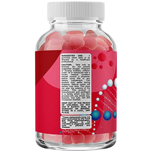 Phytoral Healthy Gut Probiotic Gummies for Adults - Organic Probiotics for Gut Health Upset Stomach Relief and Immune Support - Digestive Health Chewable Probiotic Gummies for Women and Men - 5 Billion CFU